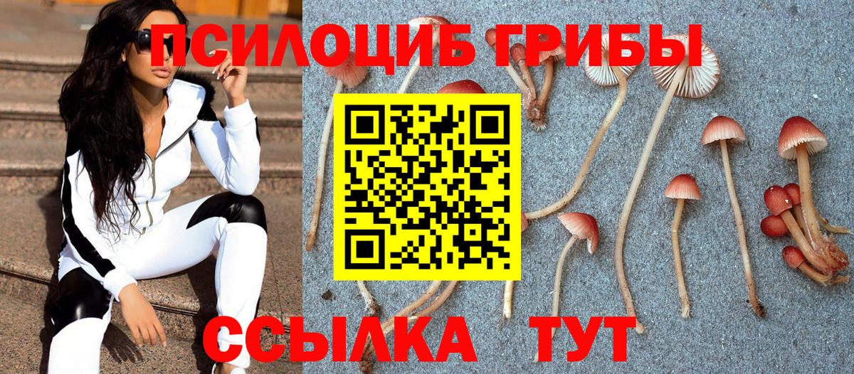 Галлюциногенные грибы Cubensis Биробиджан