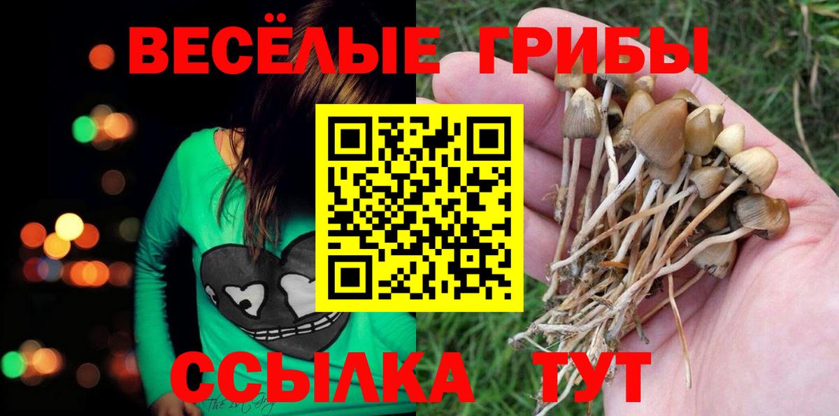 Биробиджан  Псилоцибиновые грибы мицелий  Вход с VPN 